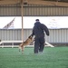 82CAB Participate in K9 Demonstration