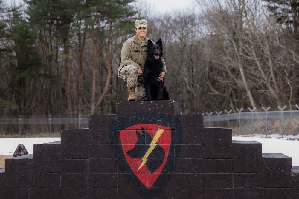 From Life Saving to Life changing: Honoring all K9 Veterans Through the Story of Cento