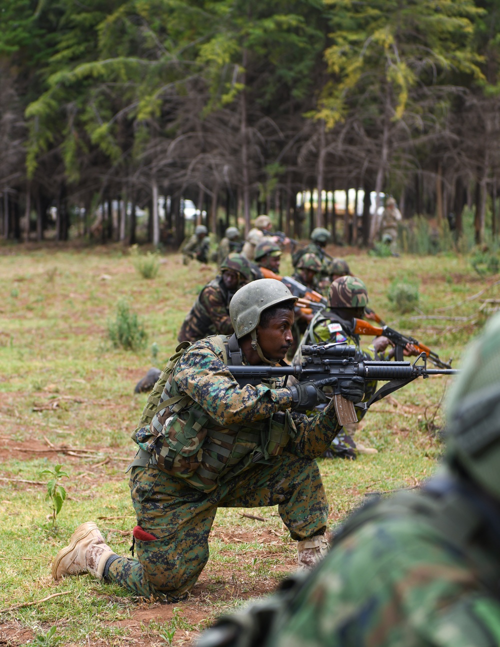 Multinational forces conduct a culminating training exercise for Justified Accord 2024