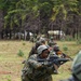 Multinational forces conduct a culminating training exercise for Justified Accord 2024