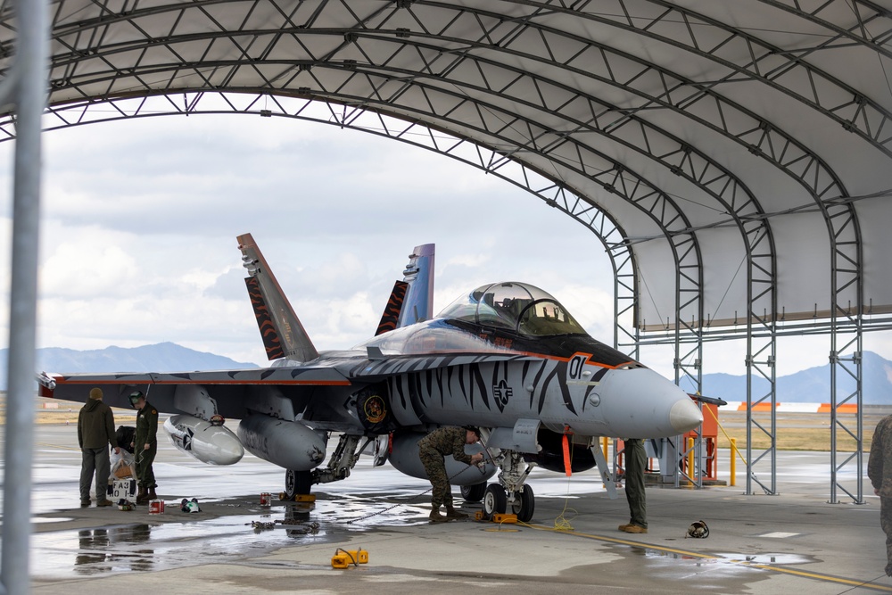 MCAS Iwakuni Welcomes the Fighting Bengals