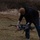 Allied Spirit 24 Participants Conduct Drone Training Allied Spirit 24 Participants Conduct Drone Training