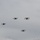 Allied Spirit 24 Participants Conduct Drone Training Allied Spirit 24 Participants Conduct Drone Training