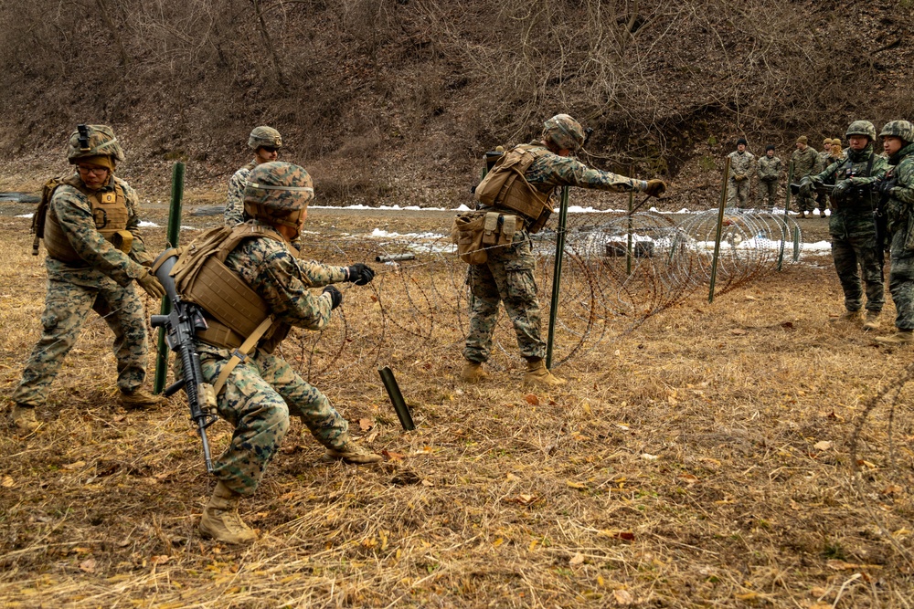 Warrior Shield 24 | U.S. and ROK Marines conduct a defense tactics SME exchange
