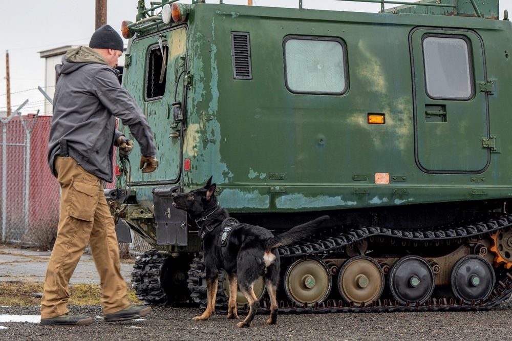 92nd SFS hosts interagency military working dog training at FAFB
