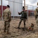 92nd SFS hosts interagency military working dog training at FAFB