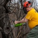 BSA Troop 198 relieve 911th AW of invasive pest