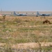 AFCENT C-130s takeoff with humanitarian aid bound for Gaza