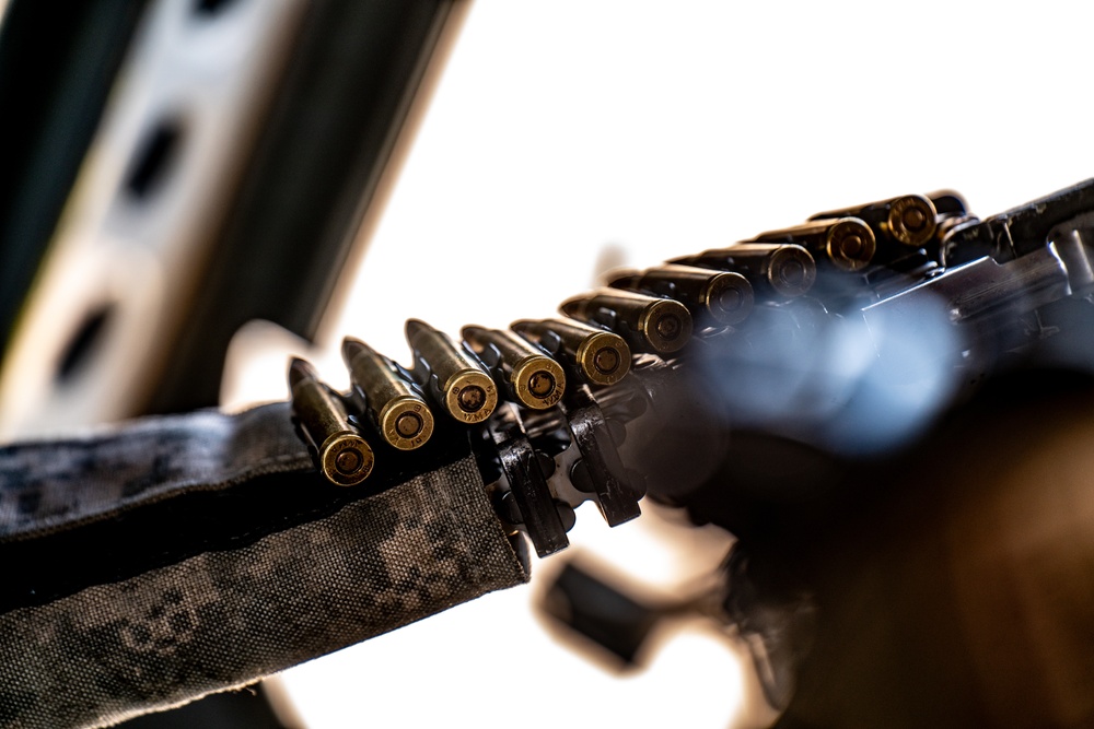 "Flippers" Take Flight