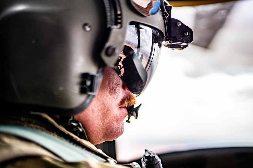 "Flippers" Take Flight