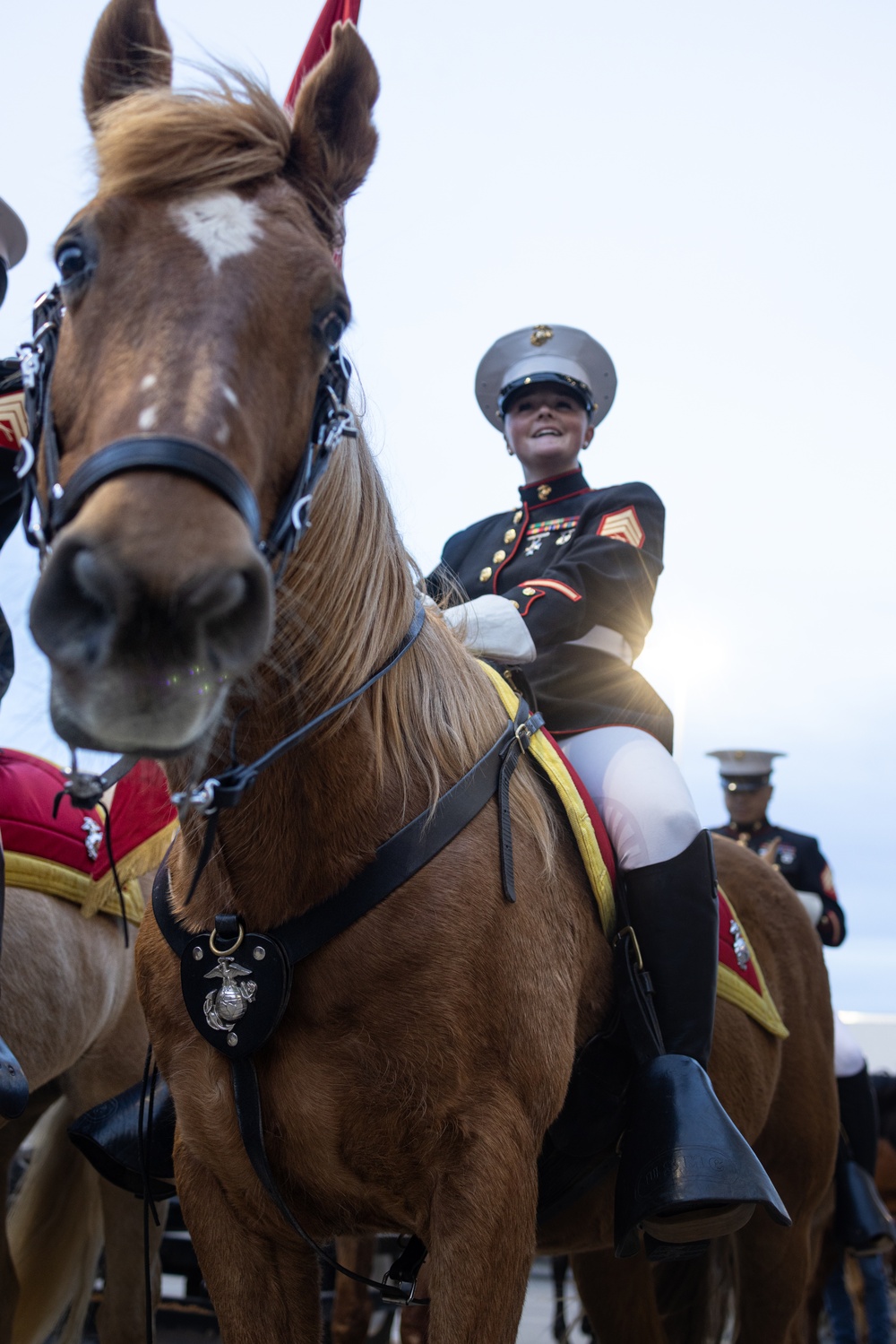 Mounted Color Guard Comes to Houston