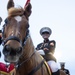 Mounted Color Guard Comes to Houston