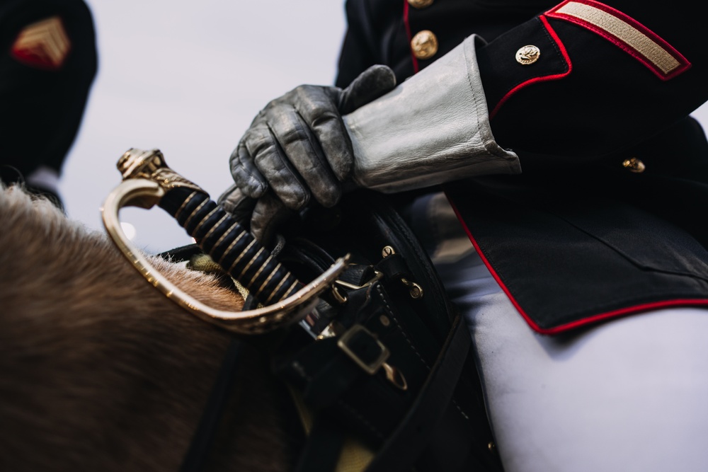 Mounted Color Guard Comes to Houston