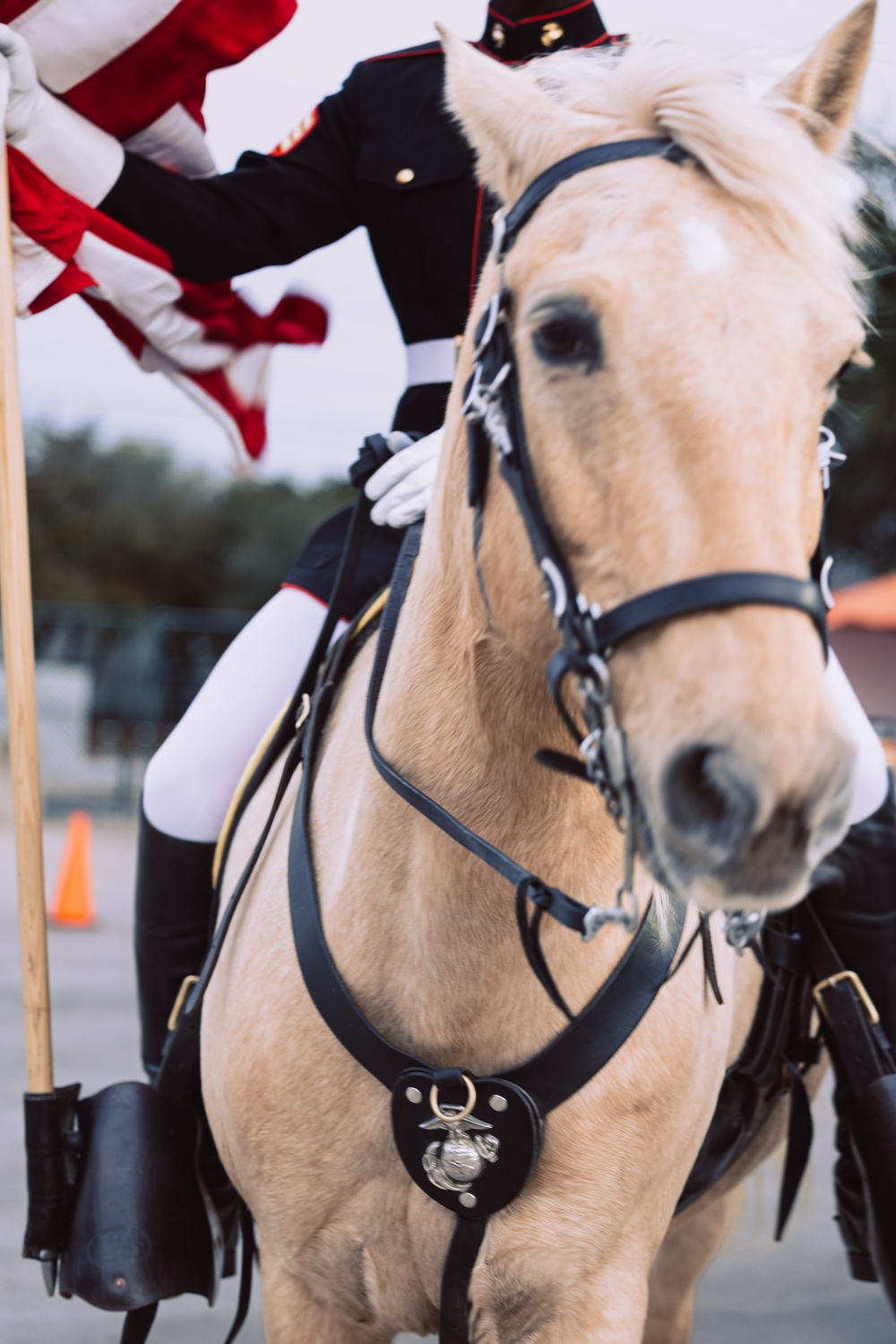 Mounted Color Guard Comes to Houston