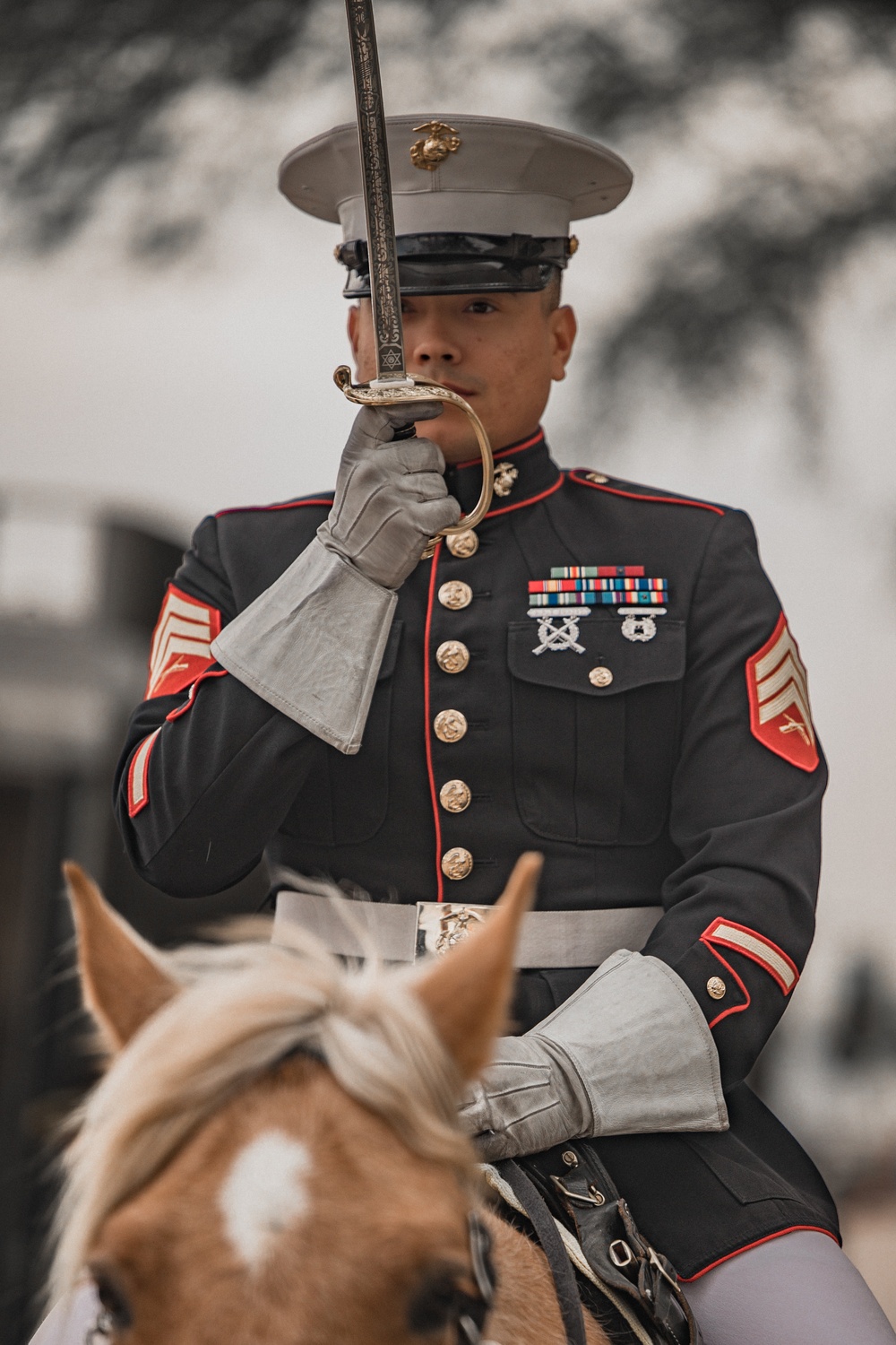 Mounted Color Guard Comes to Houston