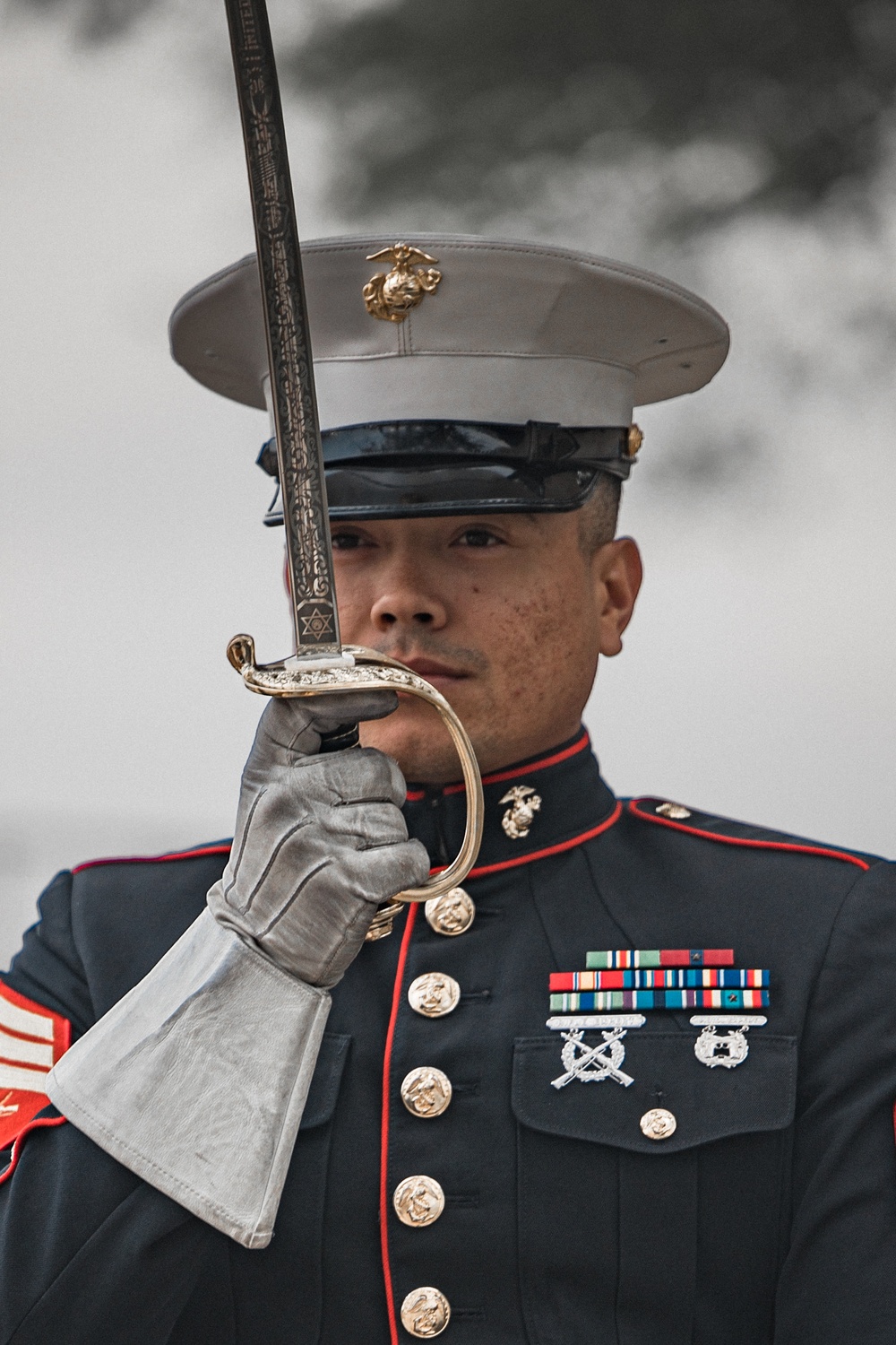 Mounted Color Guard Comes to Houston