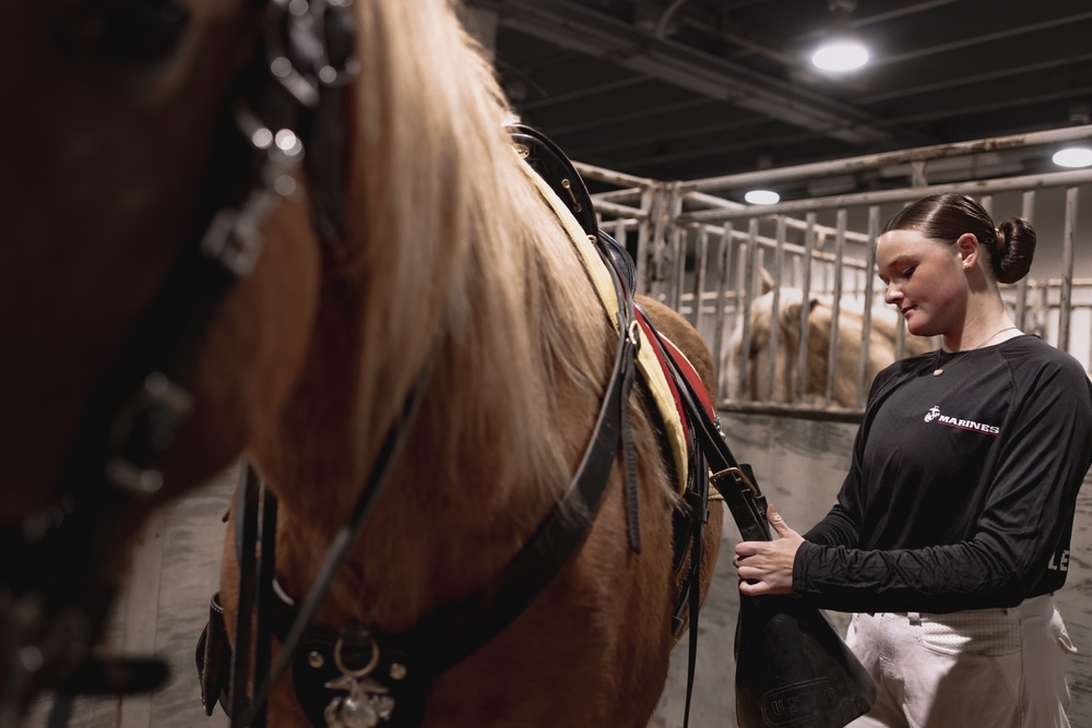 Mounted Color Guard Comes to Houston