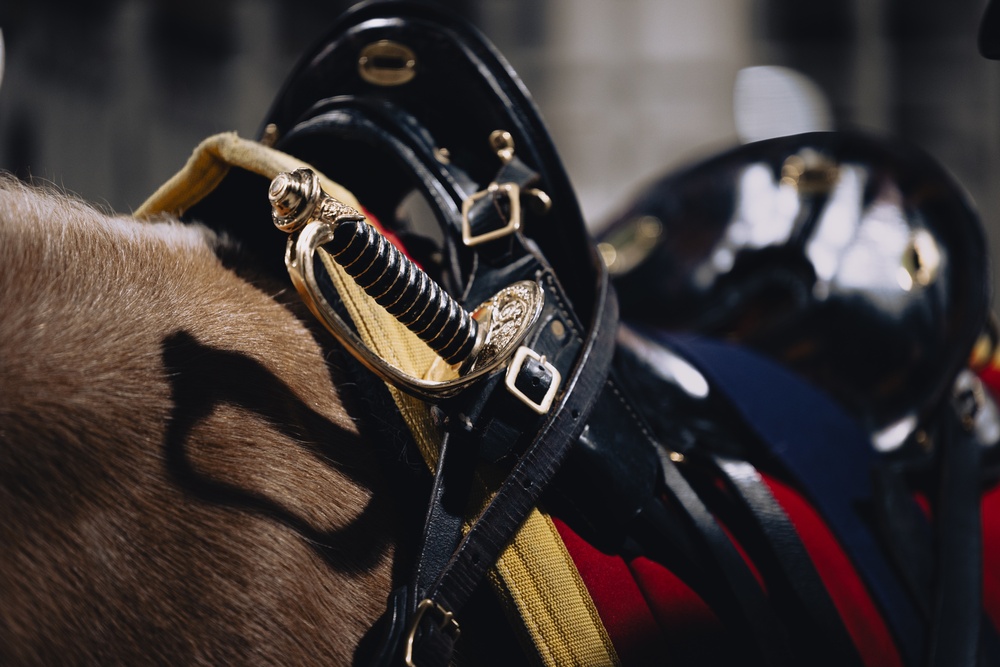 Mounted Color Guard Comes to Houston