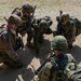 Marines, JGSDF conduct Iron Fist 24 helicopter raid on Okinoerabu Island
