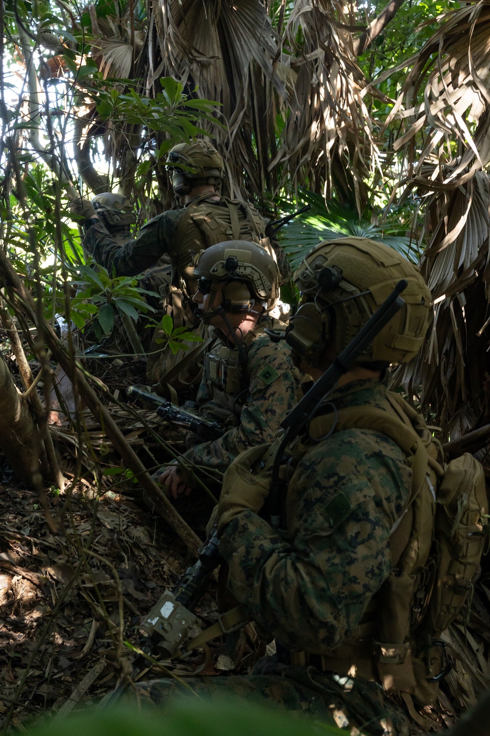 Marines, JGSDF conduct Iron Fist 24 helicopter raid on Okinoerabu Island
