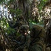 Marines, JGSDF conduct Iron Fist 24 helicopter raid on Okinoerabu Island