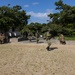 Marines, JGSDF conduct Iron Fist 24 helicopter raid on Okinoerabu Island