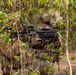 Squad Live Fire Exercise, at Sa Keo, Thailand