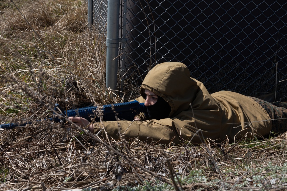 Warrior Shield 24 | 2nd Battalion, 8th Marines Aerial Assault 