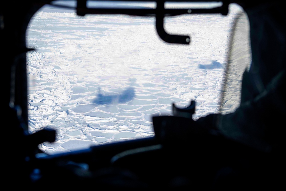 400+ Allied, Joint Special Operations Forces Secure the Arctic