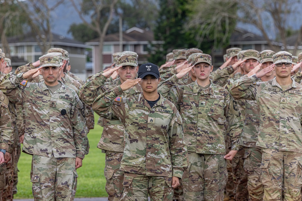 Air Assault: Graduation