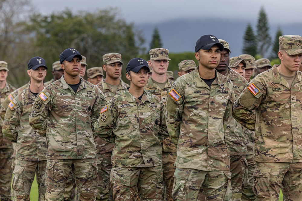 Air Assault: Graduation