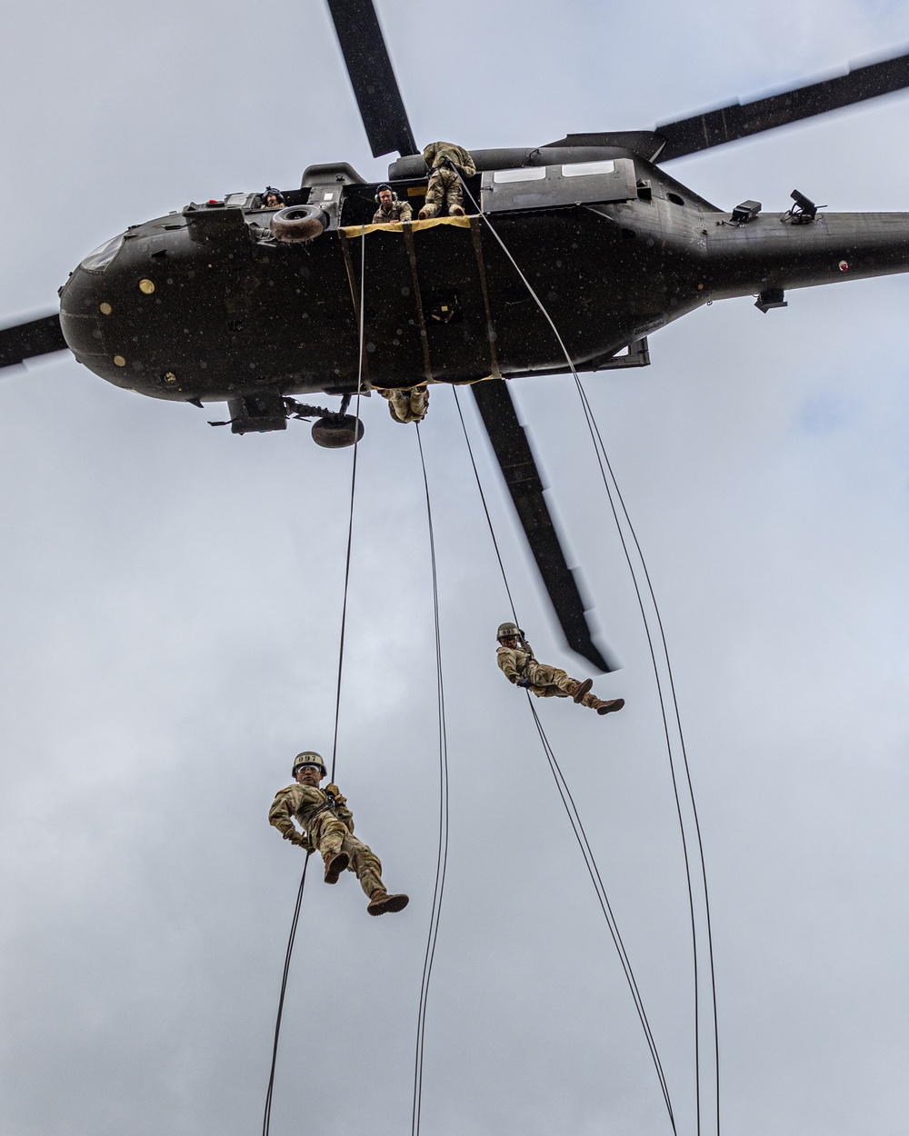 Air Assault: Repel Day