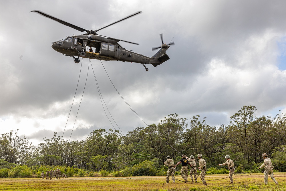 Air Assault: Repel Day