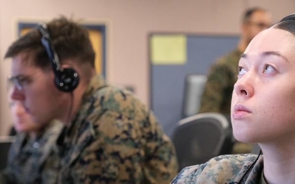 Bamboo Eagle, first-ever US, UK, AUS C2-driven, live-fly, simultaneous LVC exercise