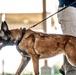 82nd CAB K9 Training