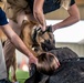 82nd CAB K9 Training