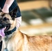 82nd CAB K9 Training