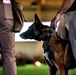 82nd CAB K9 Training