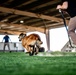 82nd CAB K9 Training