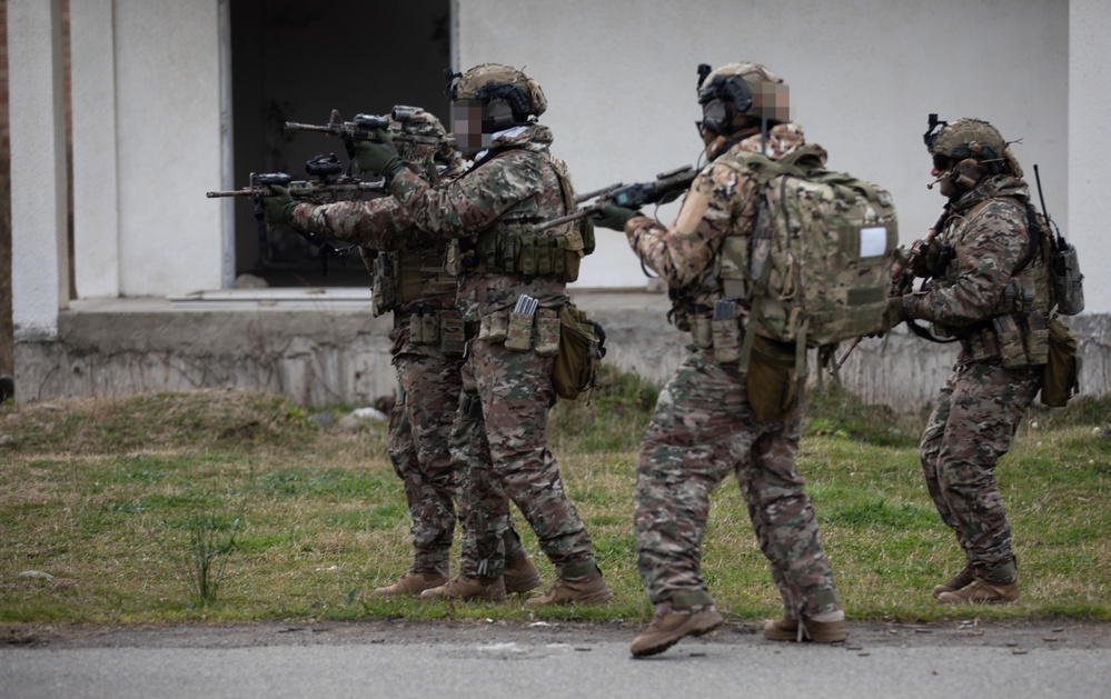 Georgian guard and Georgian special operations forces soldiers execute an ambush during a situational training exercise (STX) with Marines assigned to the U.S. Marine Forces Special Operations Command (MARSOC) during Trojan Footprint 24