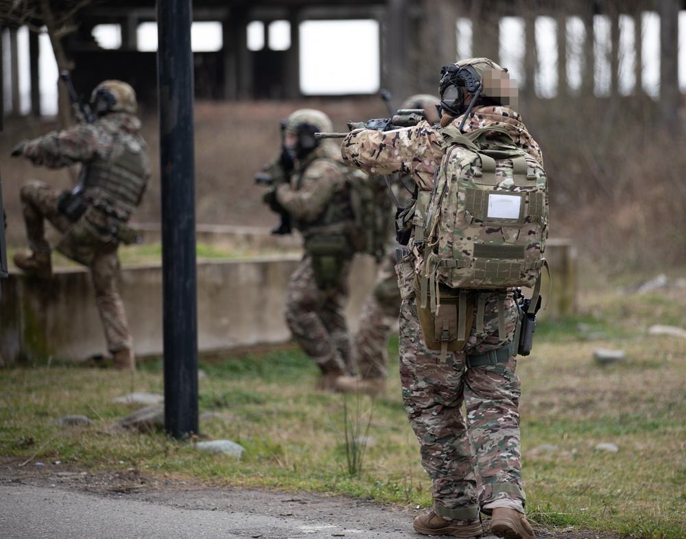 Georgian guard and Georgian special operations forces soldiers execute an ambush during an STX with MARSOC Marines during Trojan Footprint 24 24