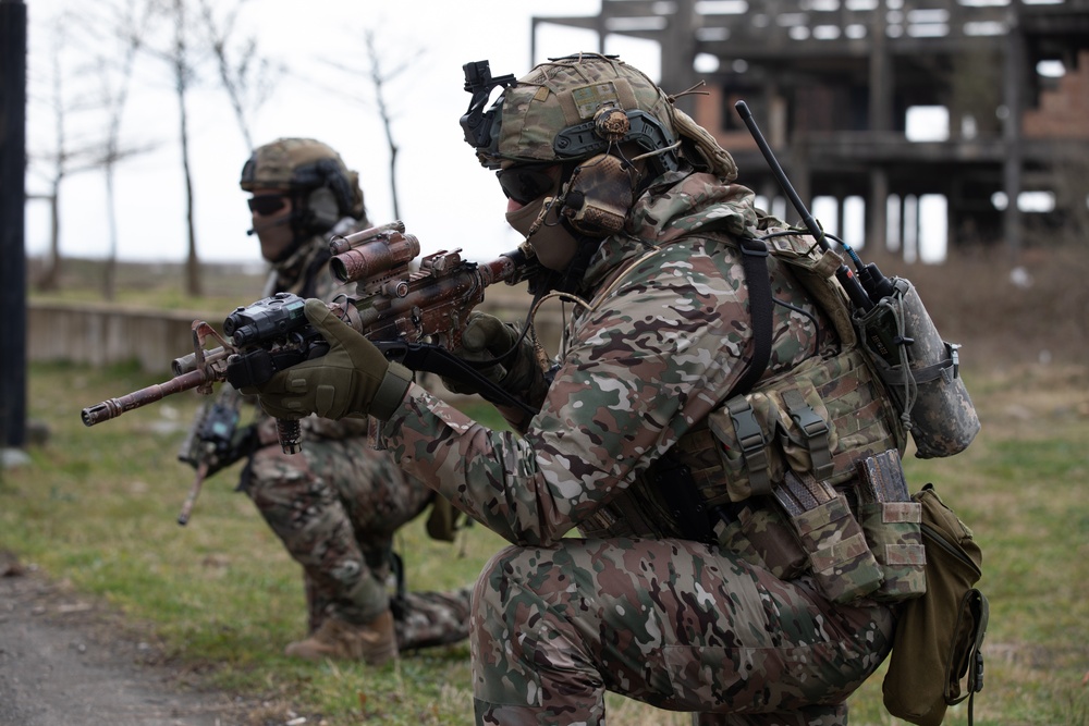 Georgian guard and Georgian special operations forces soldiers maintain security during a STX with MARSOC Marines during Trojan Footprint 24