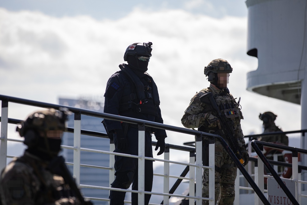 Georgian Coast Guard and Georgian special operations forces soldiers execute a visit, board, search, and seizure operation during a STX with U.S. MARSOC Marines during Trojan Footprint 24