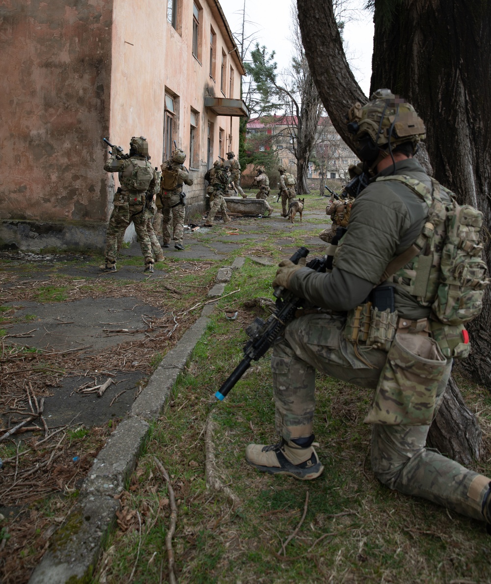 Georgian, and Spanish special operations forces soldiers move in on a training mission to clear a compound during Trojan Footprint 24