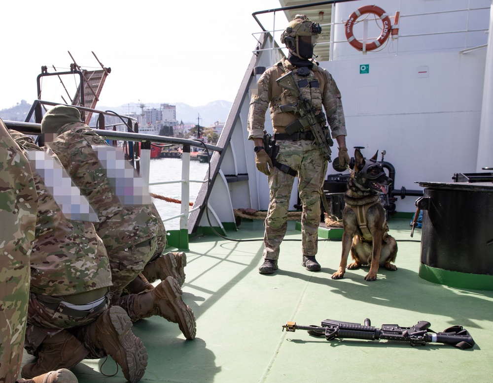 A Spanish special operations forces soldier and his military working dog maintain security over detainees during a situational training exercise with Georgian special operations forces soldiers and U.S. MARSOC Marines during Trojan Footprint 24