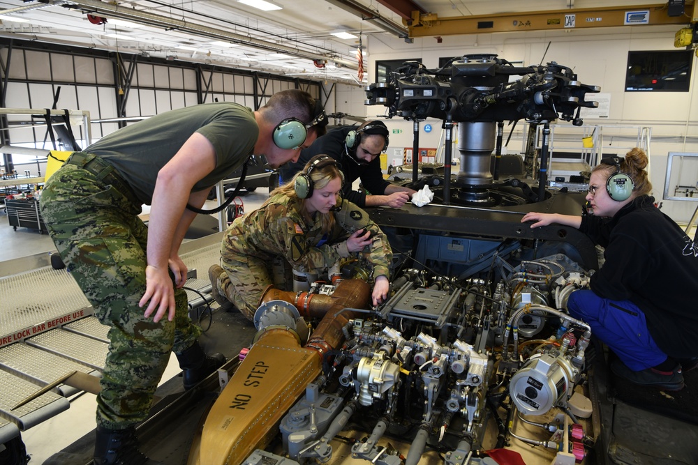 834th ASB Croatian Maintenance Training