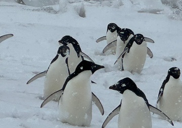 From Over the Top to Under the Bottom