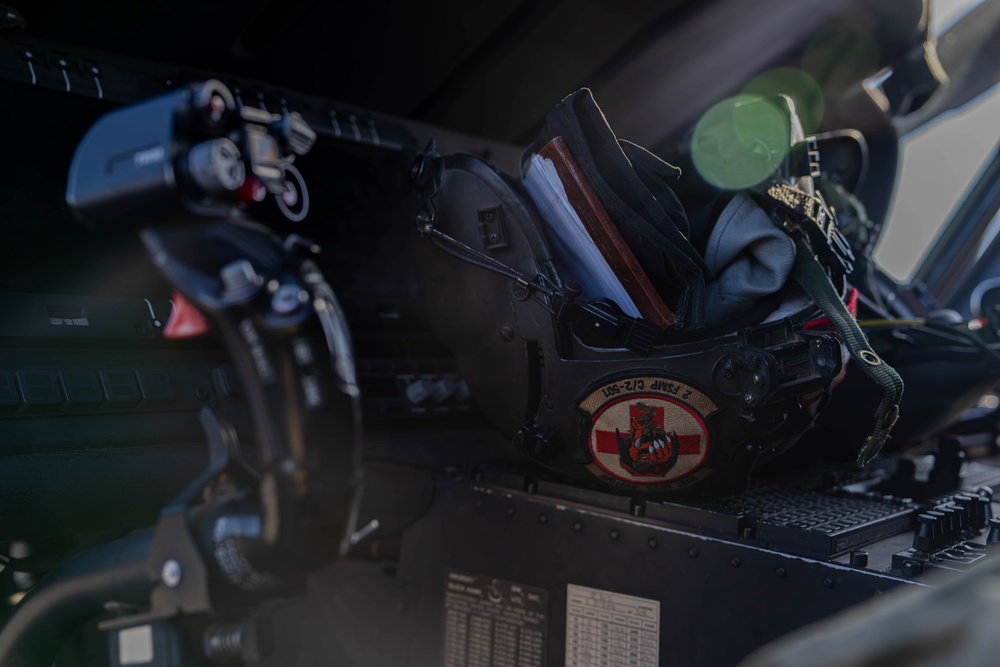 Portrait of pilot's helmet