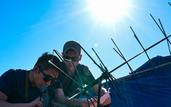 Tropical Dagger 2024