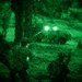Allied Spirit 24 Night Ops